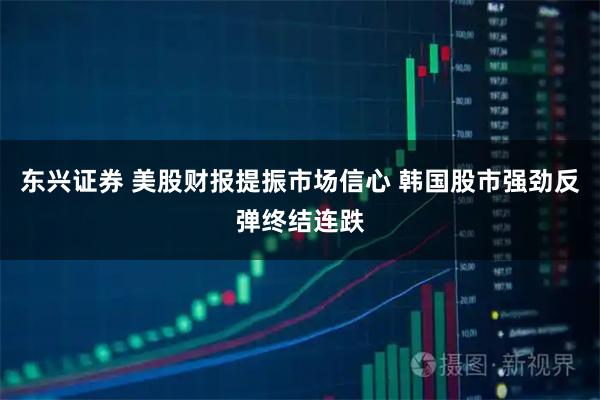 东兴证券 美股财报提振市场信心 韩国股市强劲反弹终结连跌
