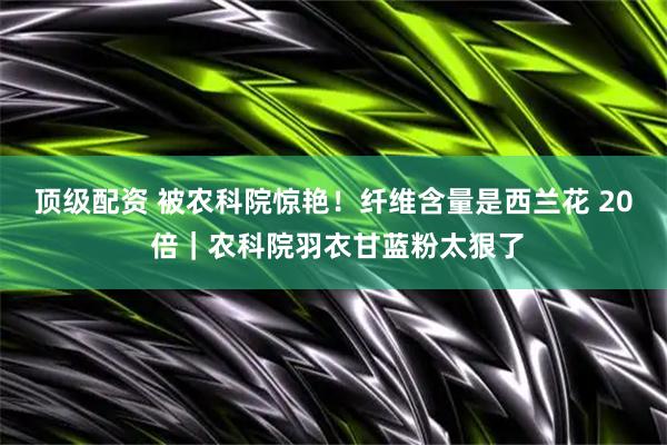 顶级配资 被农科院惊艳！纤维含量是西兰花 20 倍｜农科院羽衣甘蓝粉太狠了