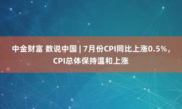 中金财富 数说中国 | 7月份CPI同比上涨0.5%，CPI总体保持温和上涨