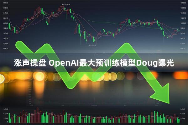 涨声操盘 OpenAI最大预训练模型Doug曝光